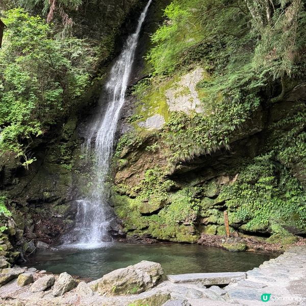 日本三大奇橋之《祖谷蔓橋》
