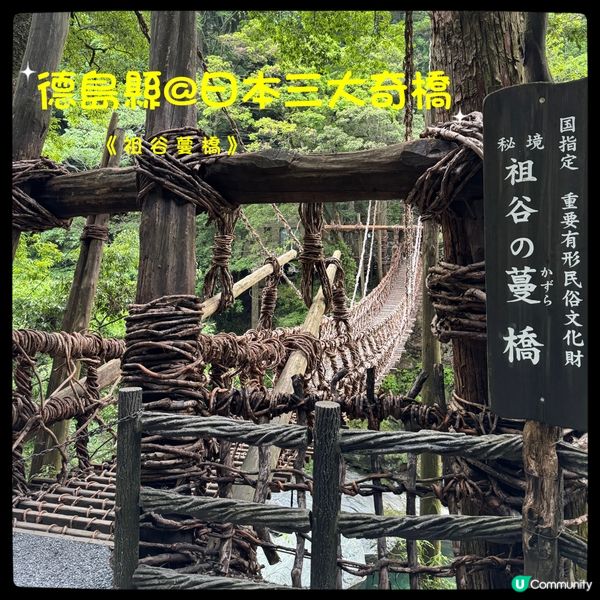 日本三大奇橋之《祖谷蔓橋》