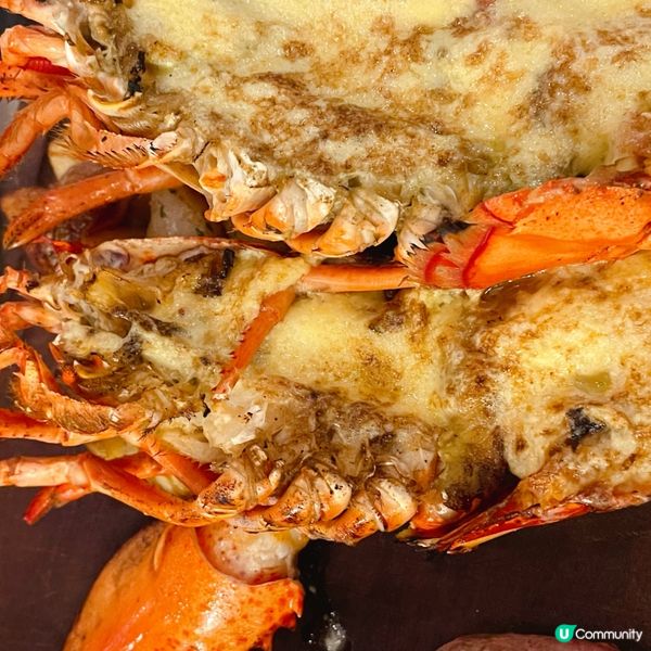 性價比高法國菜～ÔDELiCE