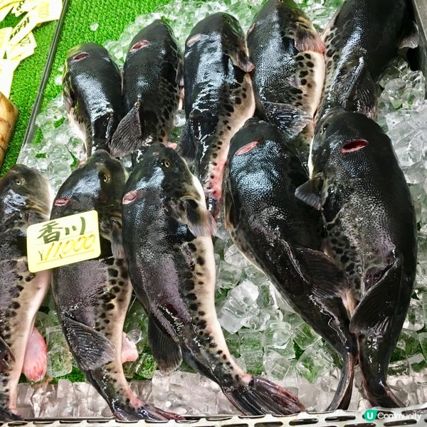 大阪黑門市場😋 食材天堂！