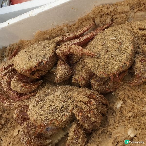 大阪黑門市場😋 食材天堂！