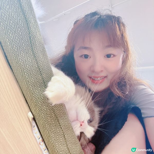 🇭🇰觀塘工廈✅喵奴🐈‍⬛好去處🐱