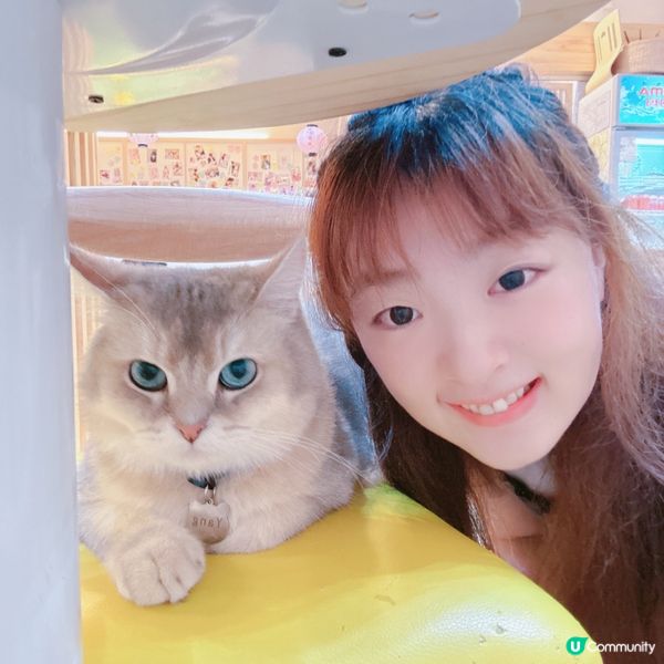 🇭🇰觀塘工廈✅喵奴🐈‍⬛好去處🐱