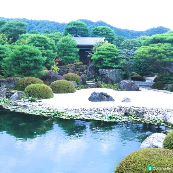 日本必去庭園 🇯🇵 足立美術館😍