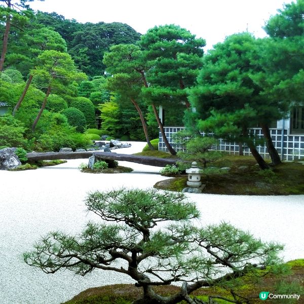日本必去庭園 🇯🇵 足立美術館😍
