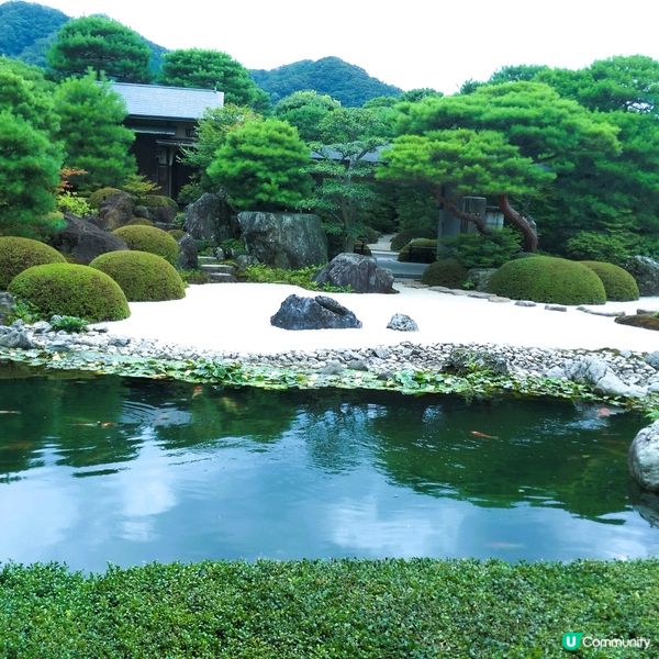日本必去庭園 🇯🇵 足立美術館😍