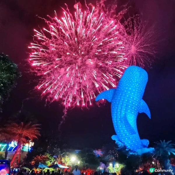 長隆海洋王國 煙花表演 🎆