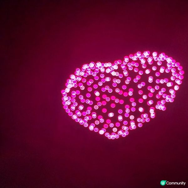 長隆海洋王國 煙花表演 🎆