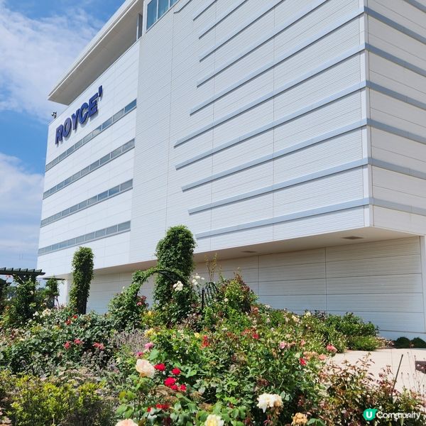 朱古力迷必去🍫🍫🍫