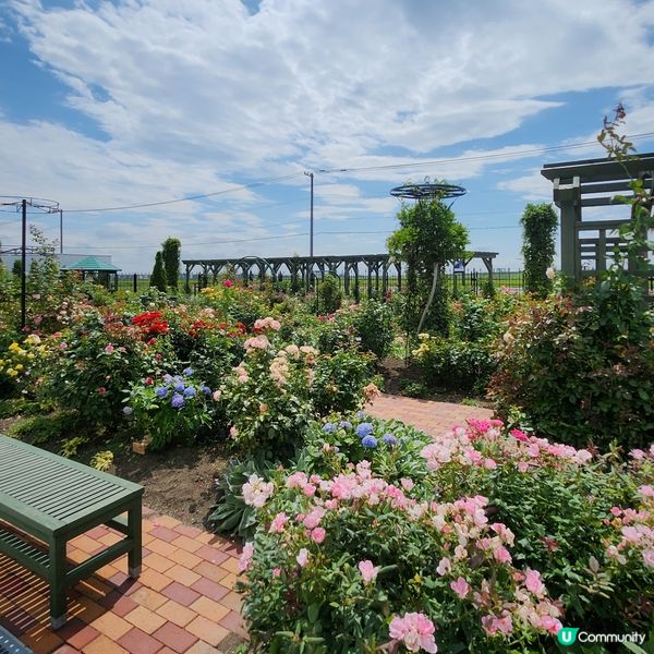 朱古力迷必去🍫🍫🍫