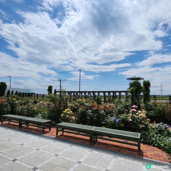 朱古力迷必去🍫🍫🍫