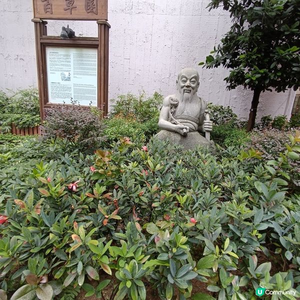 上環百草園🌿  尋味和認識中藥之旅 🚶‍♀️🚶‍♂️