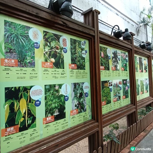 上環百草園🌿  尋味和認識中藥之旅 🚶‍♀️🚶‍♂️