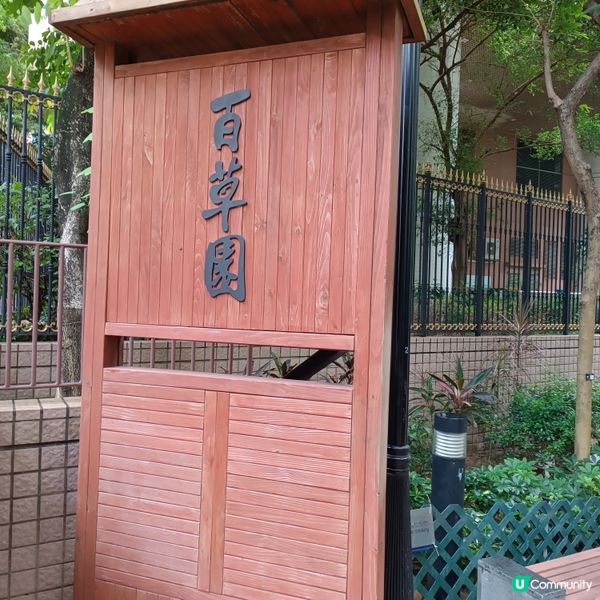 上環百草園🌿  尋味和認識中藥之旅 🚶‍♀️🚶‍♂️