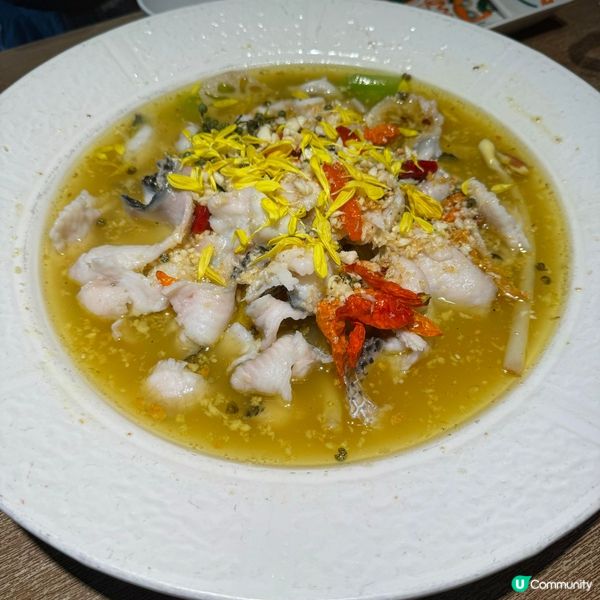 淥鼎記養生火鍋夠晒大滿足,先黎一個前菜小食再有酸菜魚同埋刺身...