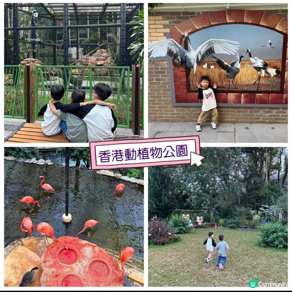 【 香港免費親子好去處｡近距離觀賞哺乳類動物 】 
