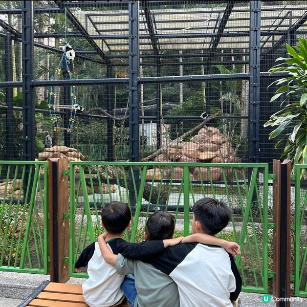【 香港免費親子好去處｡近距離觀賞哺乳類動物 】 