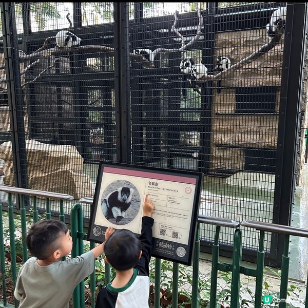 【 香港免費親子好去處｡近距離觀賞哺乳類動物 】 