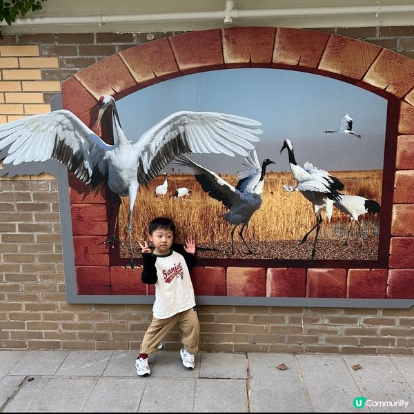 【 香港免費親子好去處｡近距離觀賞哺乳類動物 】 