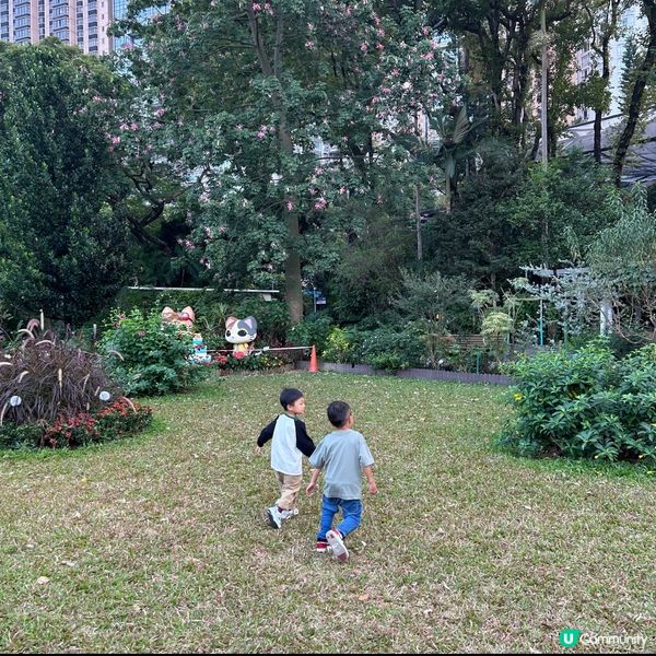 【 香港免費親子好去處｡近距離觀賞哺乳類動物 】 