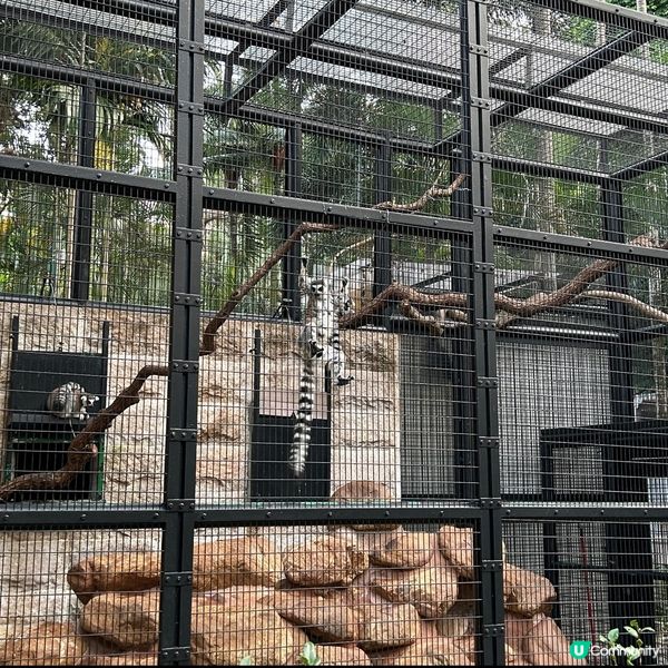 【 香港免費親子好去處｡近距離觀賞哺乳類動物 】 