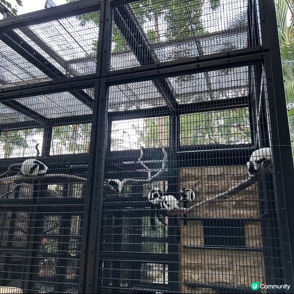 【 香港免費親子好去處｡近距離觀賞哺乳類動物 】 