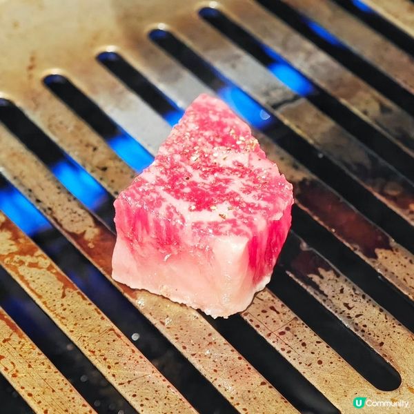 名古屋🏯抵食👍高質🥩燒肉店