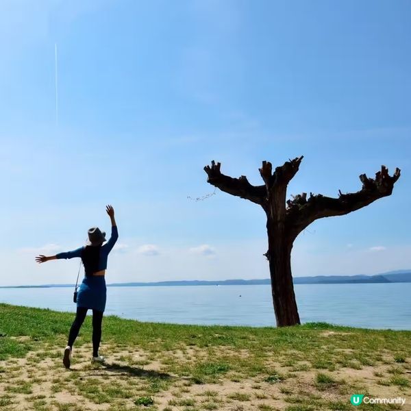 花季在湖邊 Bardolino 