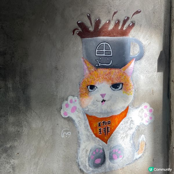 坪洲打卡～貓咪🐱～