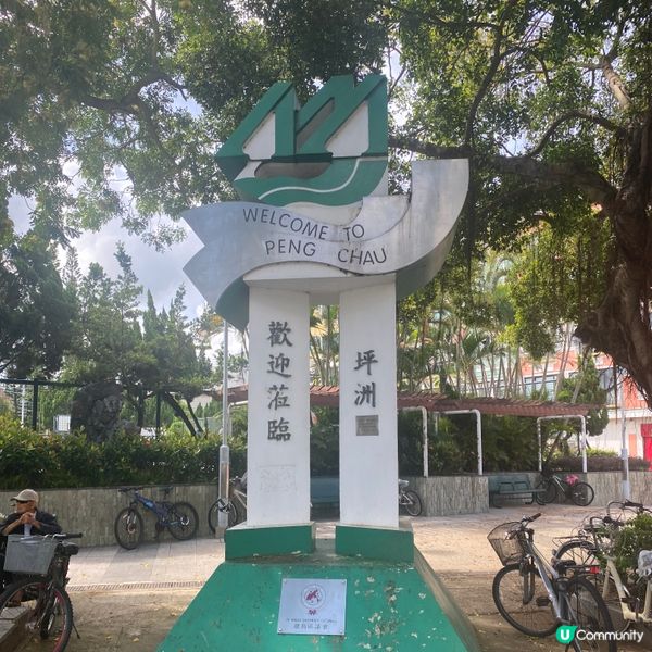 坪洲打卡～貓咪🐱～