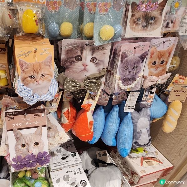 💥新開「日系」生活雜貨店‼️🐱 貓奴掃貨攻略‼️😎