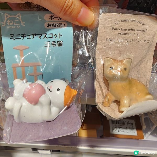 💥新開「日系」生活雜貨店‼️🐱 貓奴掃貨攻略‼️😎