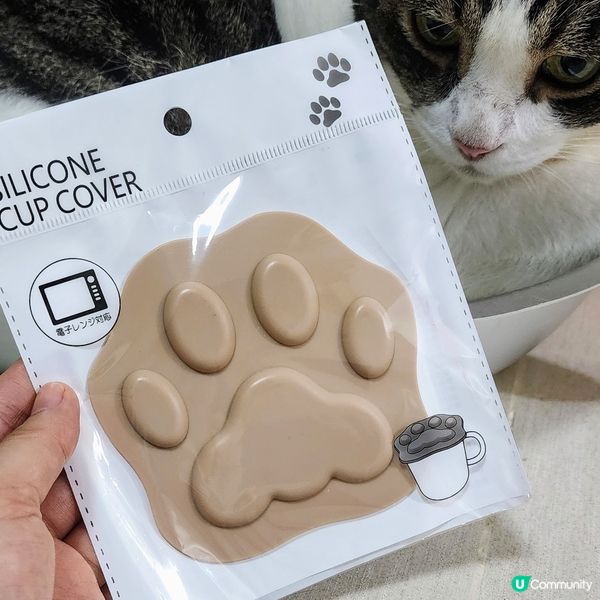 💥新開「日系」生活雜貨店‼️🐱 貓奴掃貨攻略‼️😎