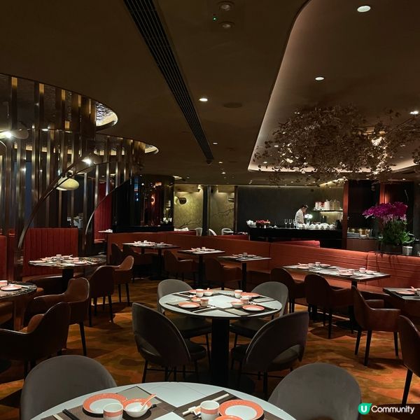 中秋團聚🌕5間精選中菜館｜新式中菜／正宗潮洲菜／川菜酒吧😋