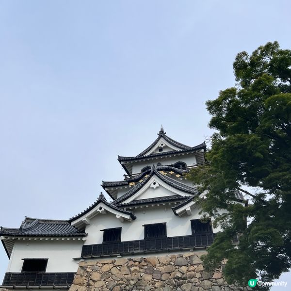 京都近郊 琵琶湖環湖一日遊🗾