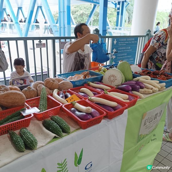 食得安心又健康，中環農墟有機嘢！🥬