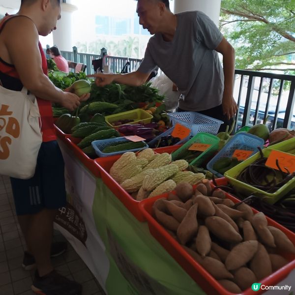 食得安心又健康，中環農墟有機嘢！🥬