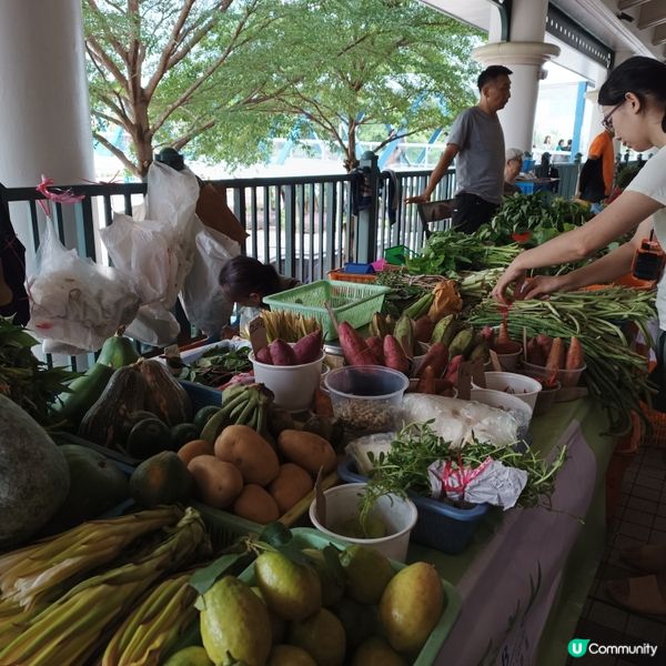 食得安心又健康，中環農墟有機嘢！🥬