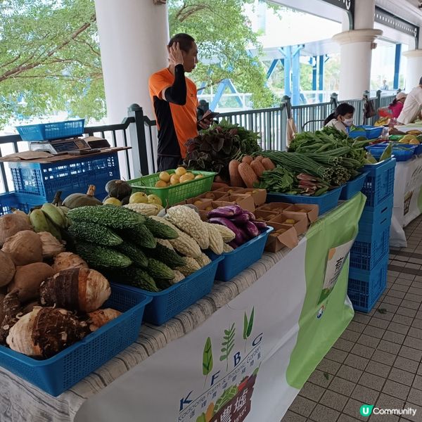 食得安心又健康，中環農墟有機嘢！🥬