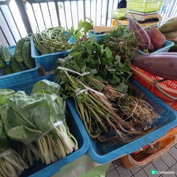 食得安心又健康，中環農墟有機嘢！🥬