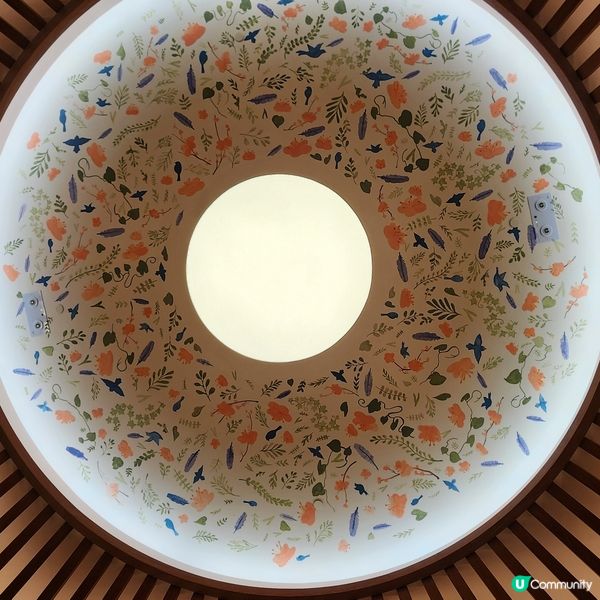 💥華麗木系設計，伴著維港享受美食，情侶閨蜜打卡必選餐廳🤩