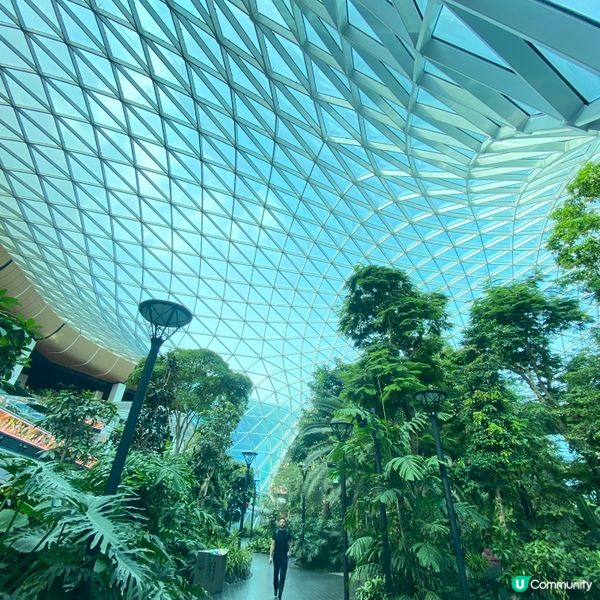 卡塔爾多哈機場🌳綠洲與森林🌴