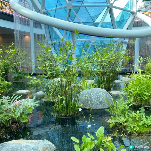 卡塔爾多哈機場🌳綠洲與森林🌴