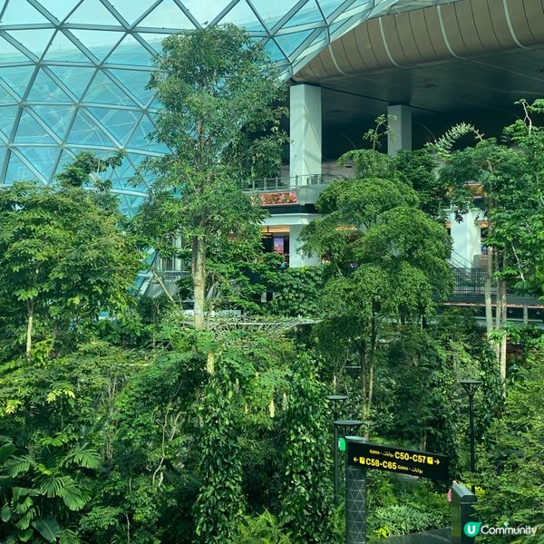 卡塔爾多哈機場🌳綠洲與森林🌴