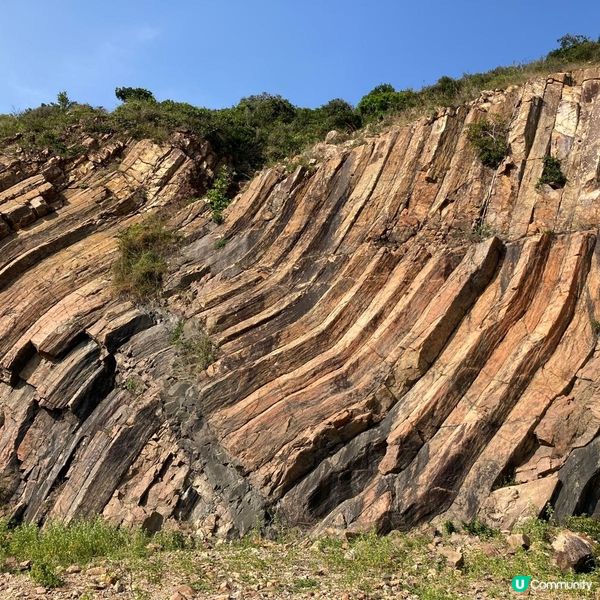 影到同郵票一樣😜