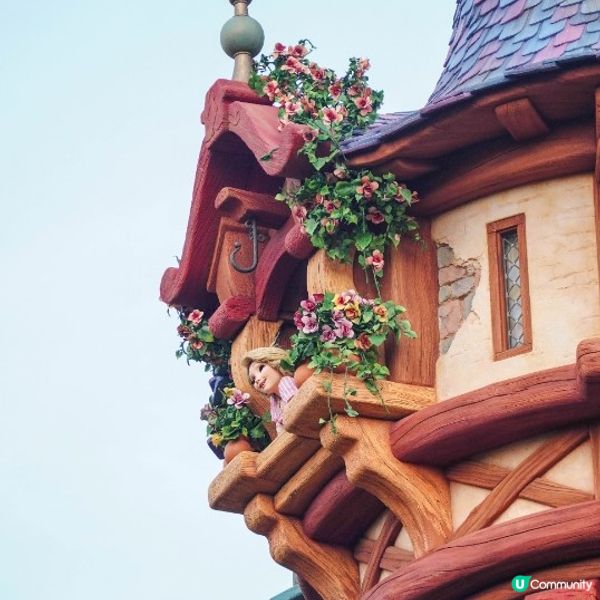 東京迪士尼海洋超可愛美食❤️附餐廳指南+新園區打卡位📸