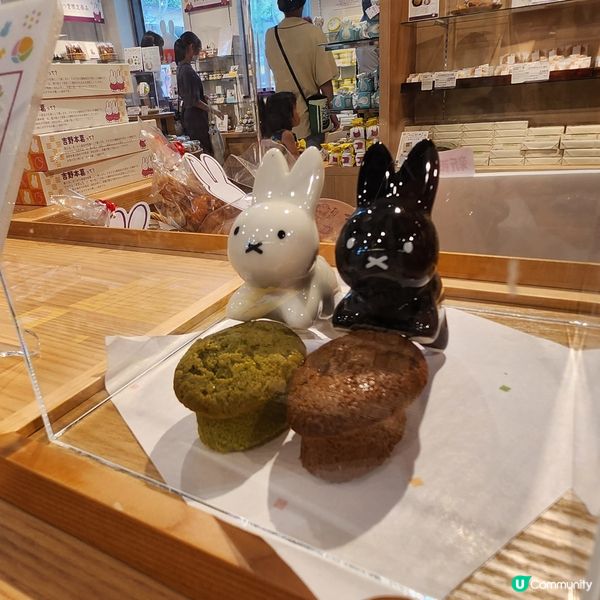 超可愛的Miffy專門店😍