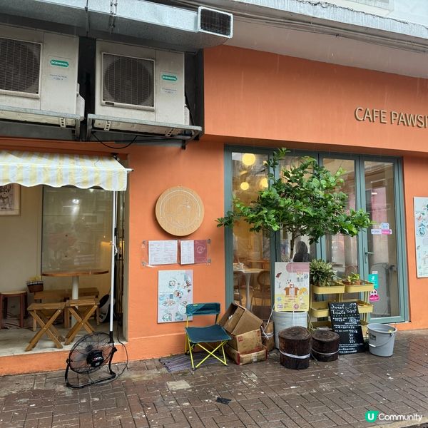 西貢美食😍橙色寵物友善咖啡店☕️主打手工意粉😋咖啡同樣高質👏🏻👏🏻