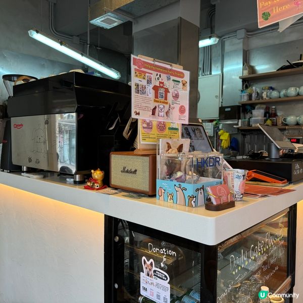 西貢美食😍橙色寵物友善咖啡店☕️主打手工意粉😋咖啡同樣高質👏🏻👏🏻