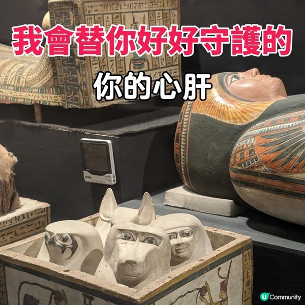 🐤可能是路克索的避難天堂